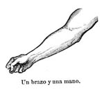 Spanish Clip Art - 2