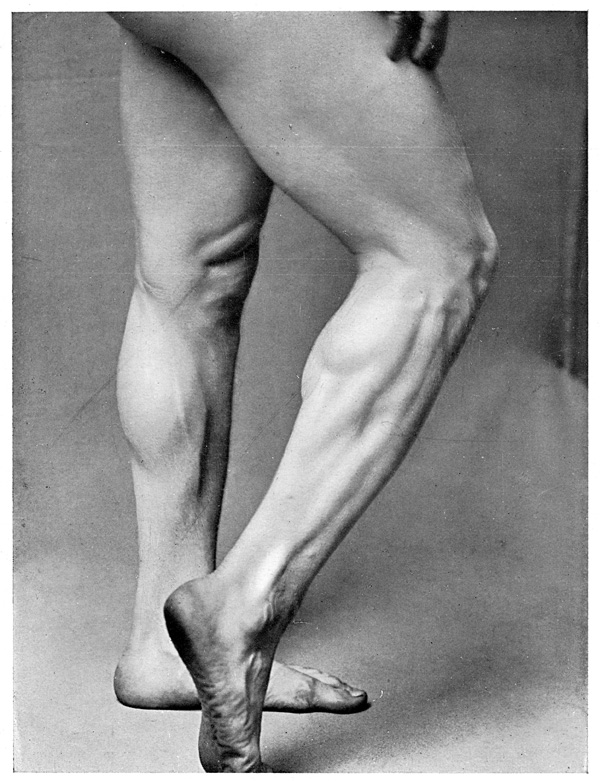 Male Figure Photography - A Figure of the Legs on a Man with Muscles in Contraction