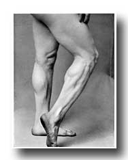 Male Figure Photography - A Figure of the Legs of a Man with Muscles in Contraction