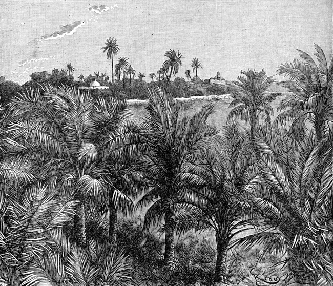 Ancient Mesopotamia - Palm Grove of Chaldea
