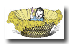 Baby Graphics :: Baby in a Basket