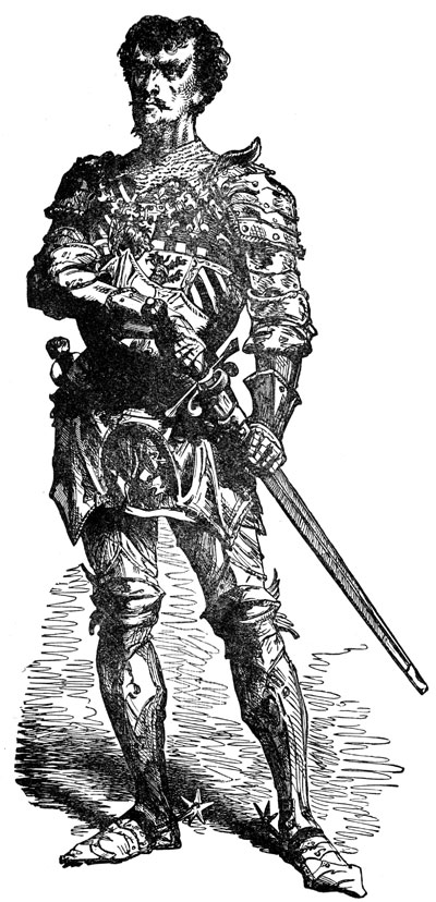 Medieval Knight Costume