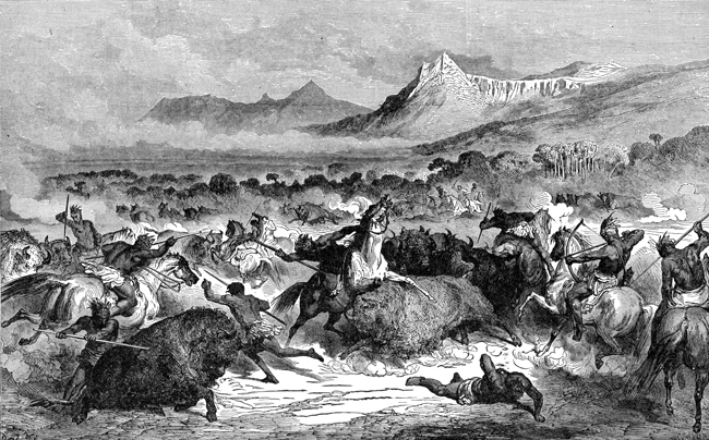 Native Americans - Buffalo Chase of the Delawares