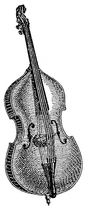 String Instruments - Image 6