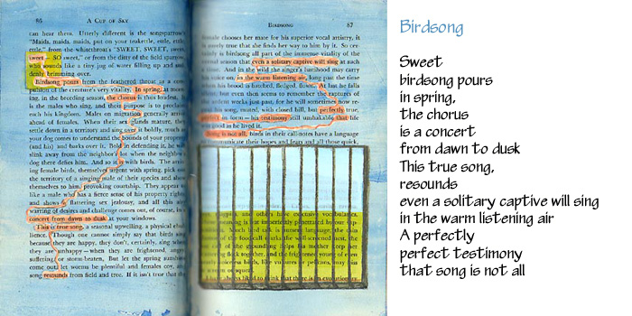 Altered Book Pages ~ Birdsong