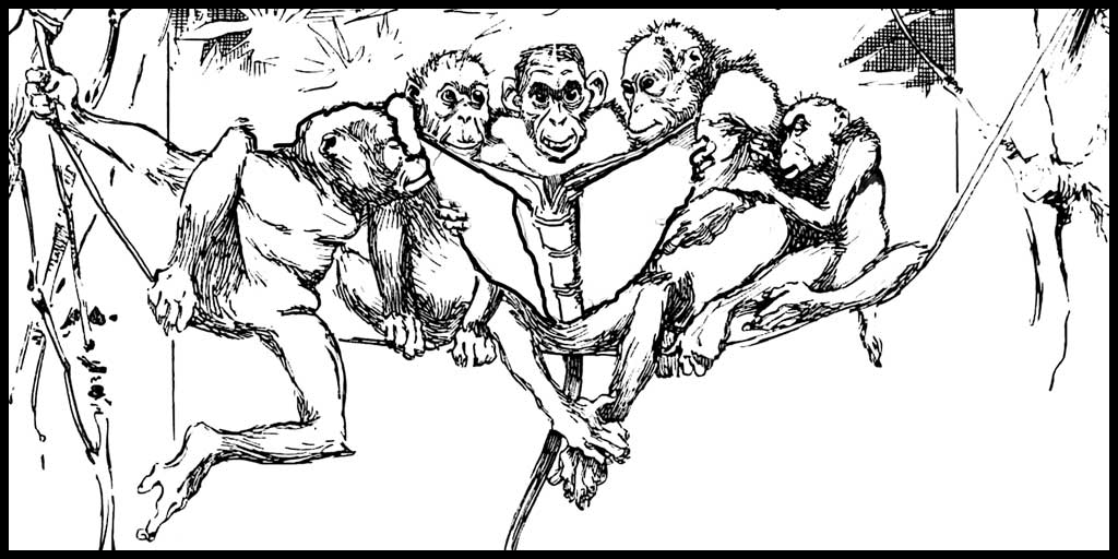 Monkey Coloring Pages ~ Karen's Whimsy