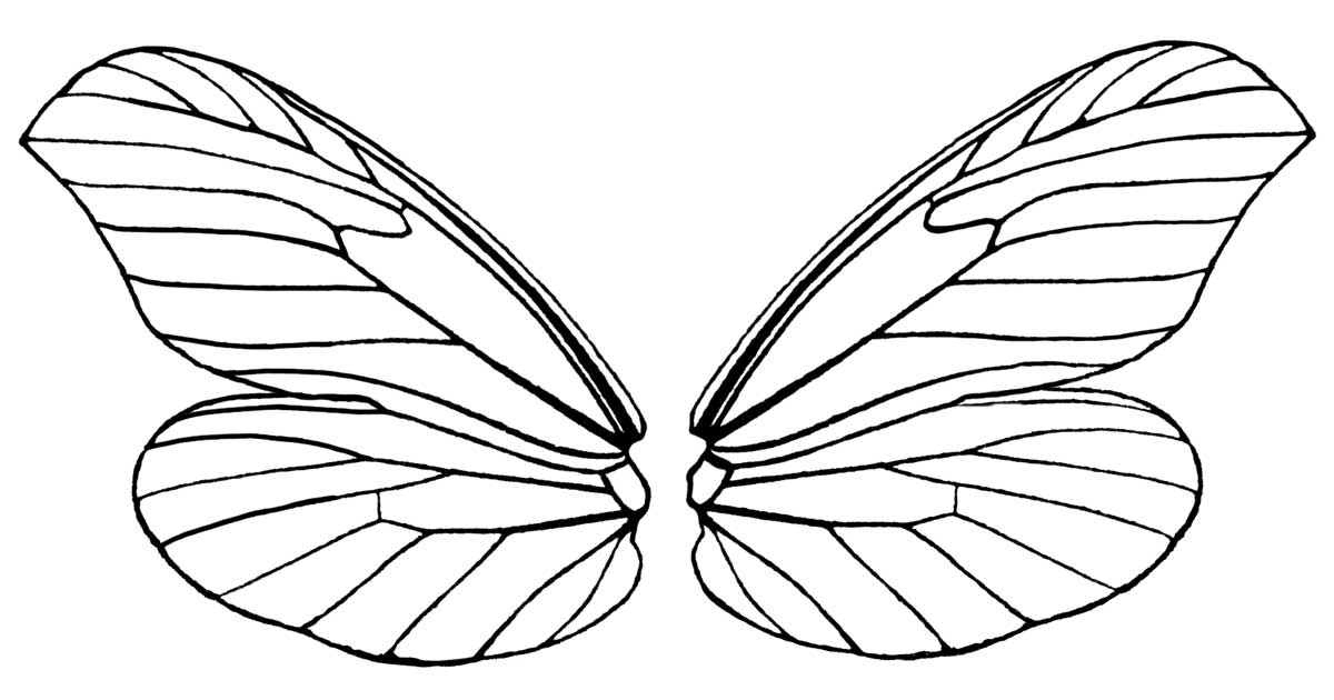 Skeleton with butterfly wings