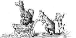 Cute Cartoon Animals