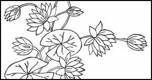Flower Coloring Pages