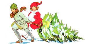 Christmas Tree Pictures