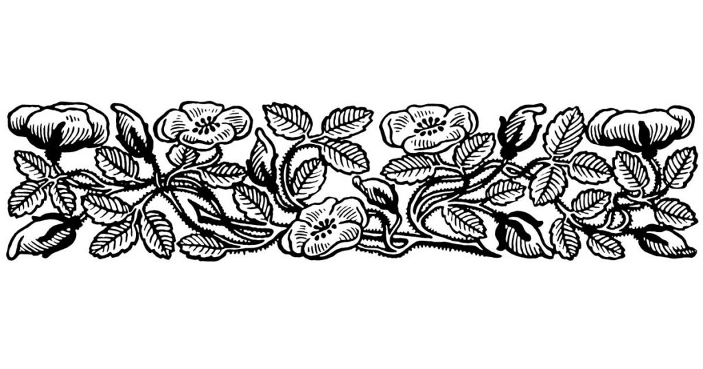 Floral Borders