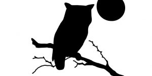Owl Silhouettes