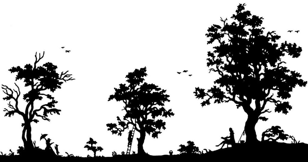 Silhouettes of Trees
