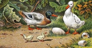 Hans Christian Andersen Stories