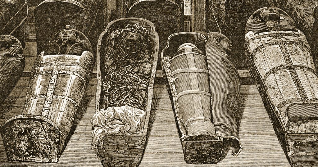 Mummies Of Egypt
