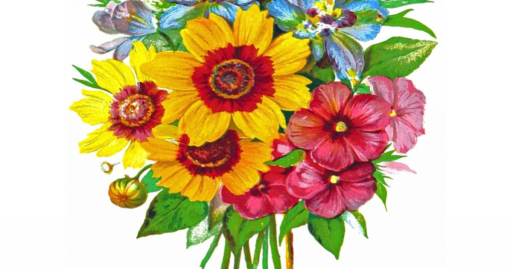 Drawings Of Flower Bouquets