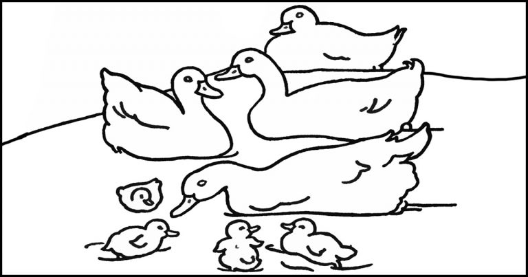 Farm Animals Coloring Pages - Karen's Whimsy