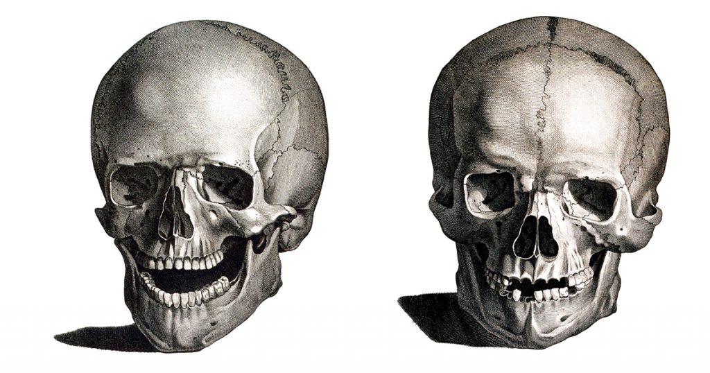 Drawings Of A Skull