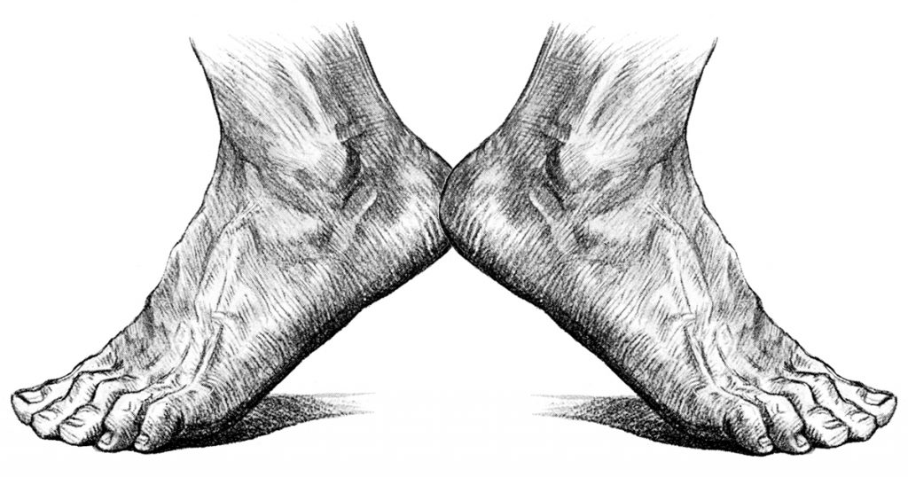 Drawings Of The Foot