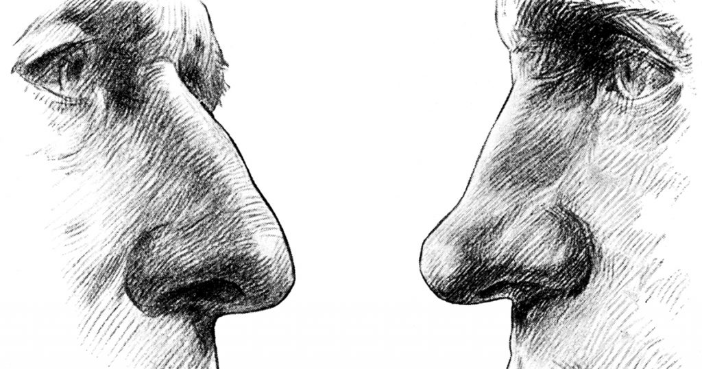 Drawings Of The Nose