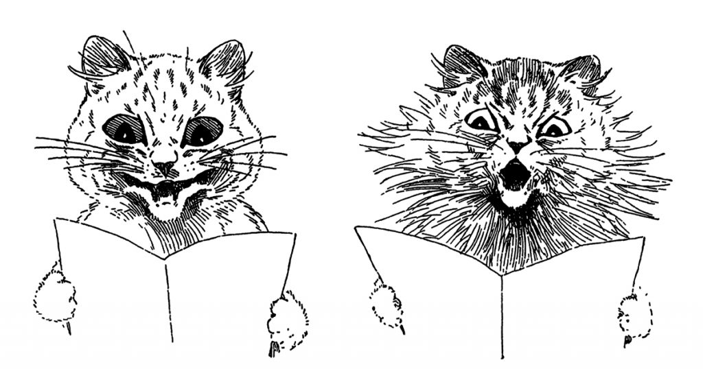 Drawings Of Cat Faces
