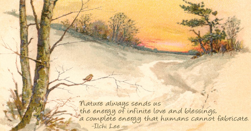 Quotes On Nature