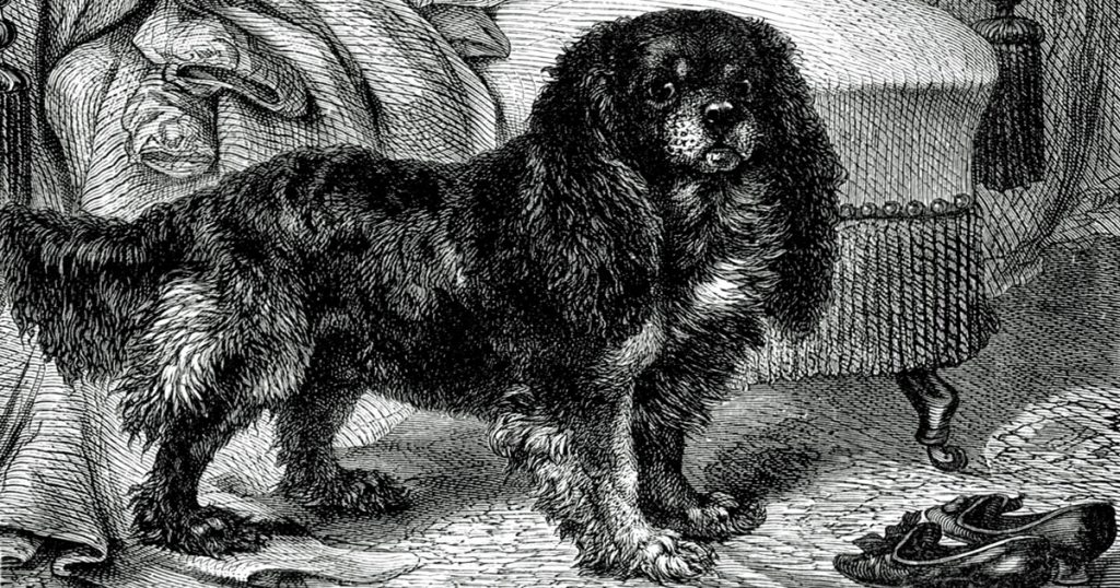 Black And White Dog Clip Art