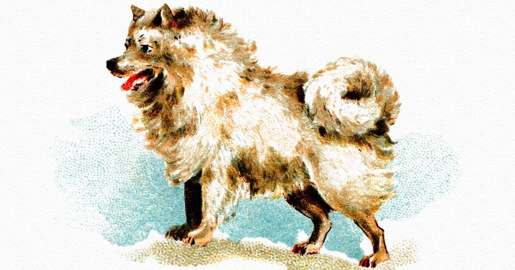 Cute Drawings Of Dogs