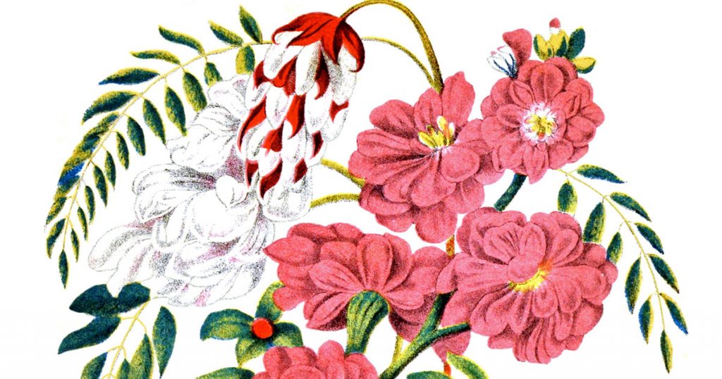 Clip Art Of Flower Bouquets