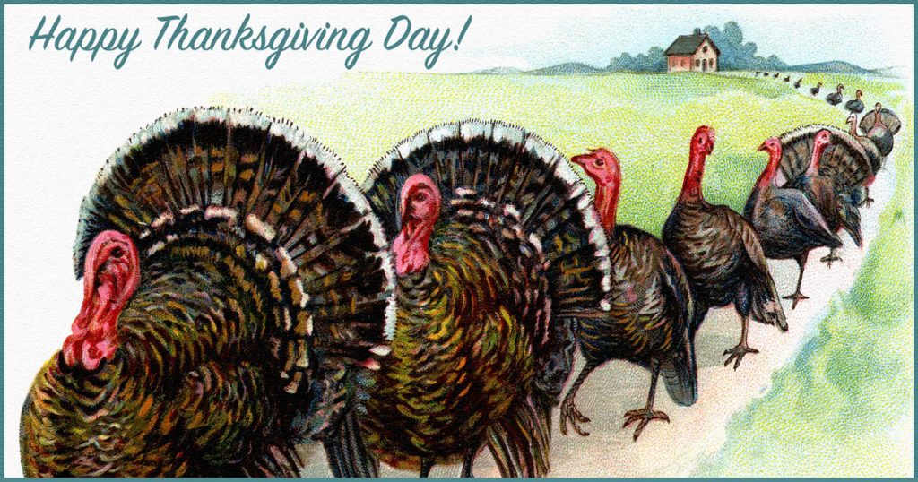 Happy Thanksgiving