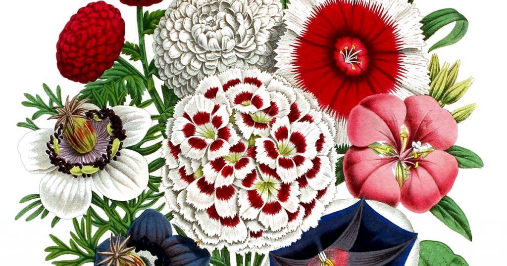 Bouquets and Arrangements