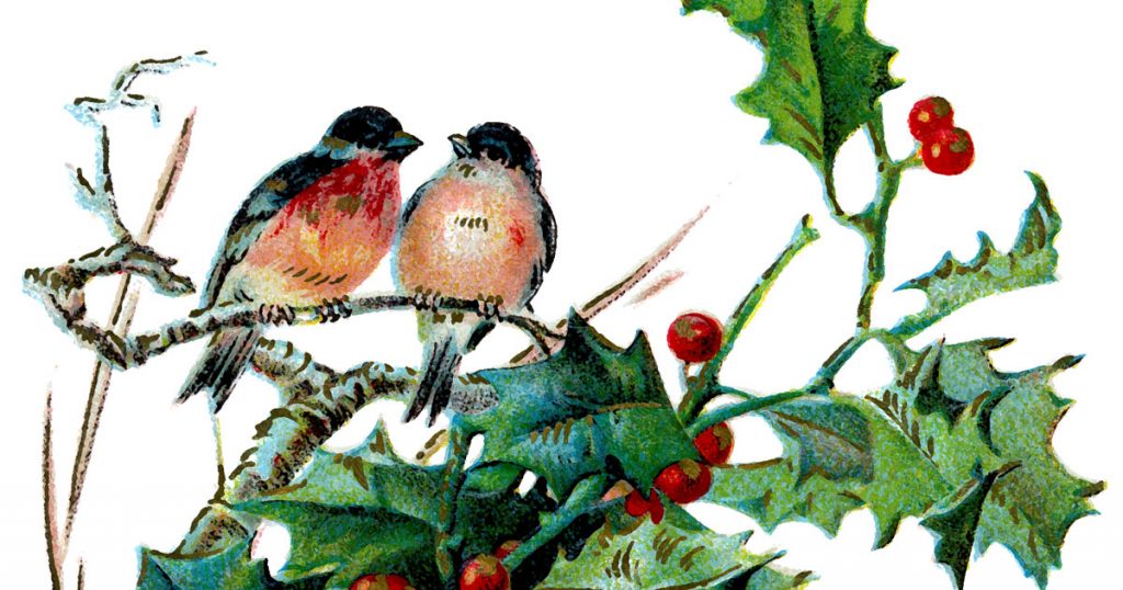 Christmas Birds