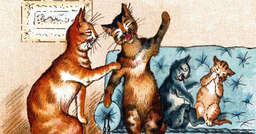 Funny Cat Drawings