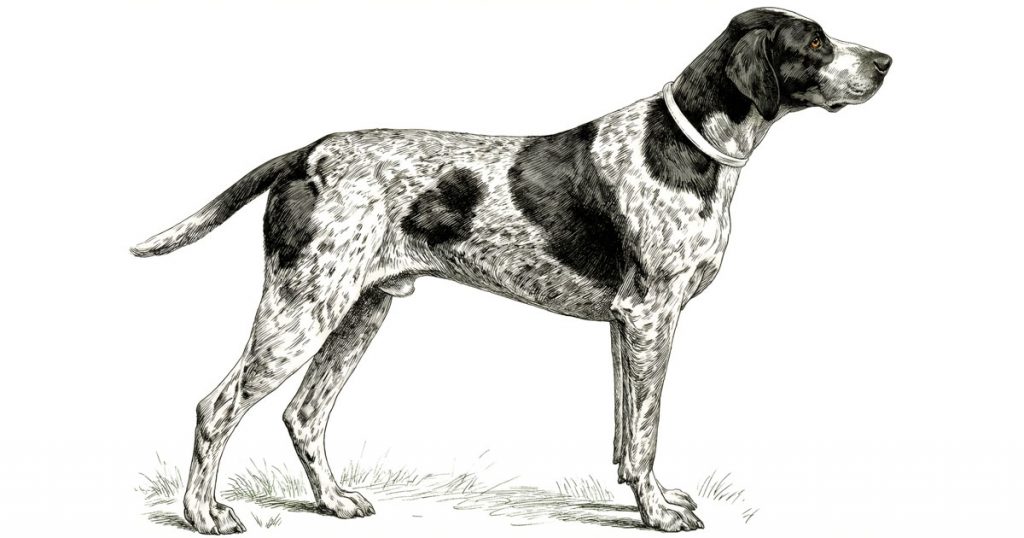 Clipart Of A Dog