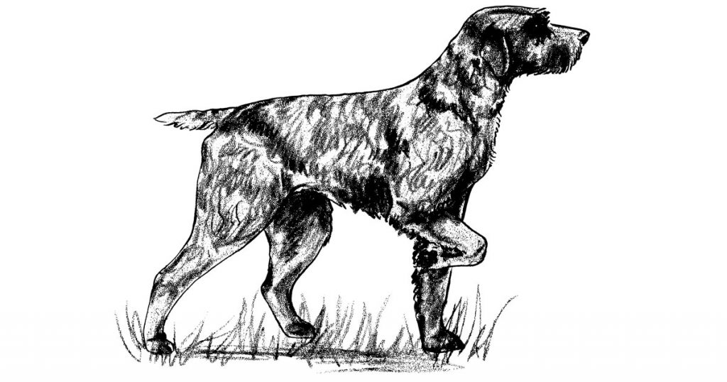 Dogs That Hunt