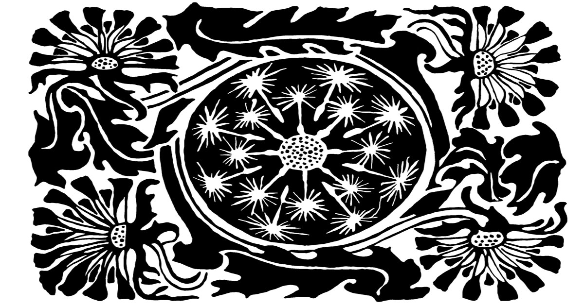 Black And White Floral Drawings
