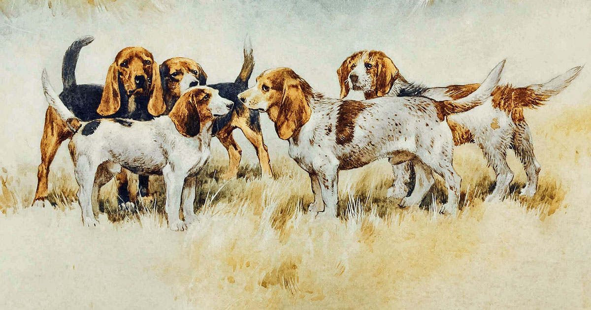 Hounds
