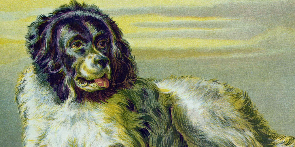 Illustrations Of Dogs