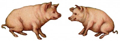 Pig Clipart 1 - Two Pink Pigs