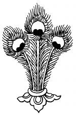 Buddhism Symbols 13 - Peacock Feathers