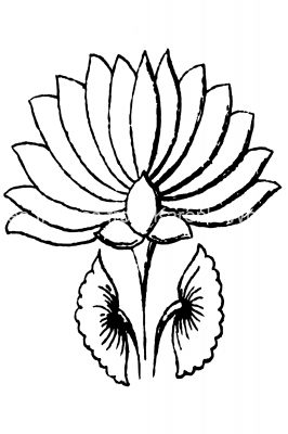 Buddhism Symbols 5 - Lotus Flower