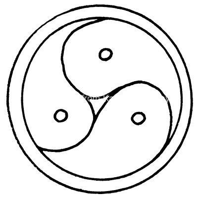 Pagan Symbols 8 - Mitsu-Domoe