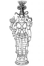 Hindu Gods and Goddesses 2 - Vishnu