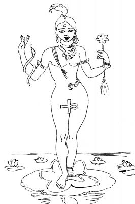 Hindu God Images 9 - Ardanari Iswara
