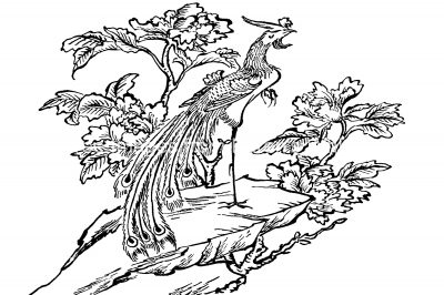 Chinese Symbolism 3 - The Phoenix