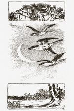 Japan Symbols 1 - Moon and Cuckoo