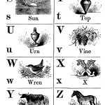 Alphabets 3 - Letters S - Z