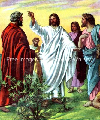 Life of Jesus 13 - Sending Out Apostles