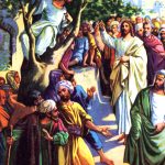 Jesus of Nazareth 3 - Zaccheus Climbs a Tree