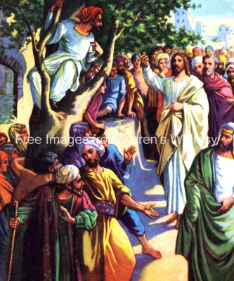 Jesus of Nazareth 3 - Zaccheus Climbs a Tree